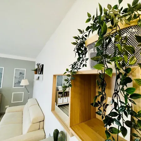 Colibri - Centro Appartement San Remo